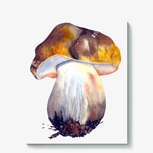 Холст «белый гриб»