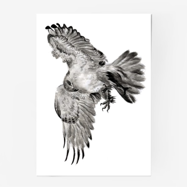 Постер «Орел расправил крылья и летит в прыжке»