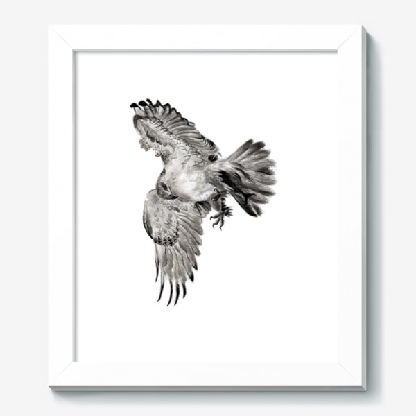 Картина «Орел расправил крылья и летит в прыжке»