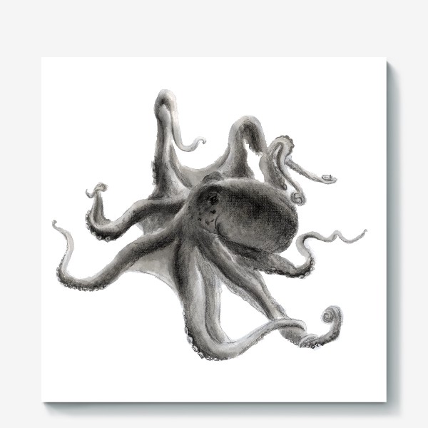 Холст «морской осьминог сережа»