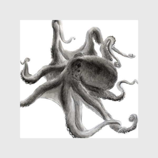 Шторы «морской осьминог сережа»