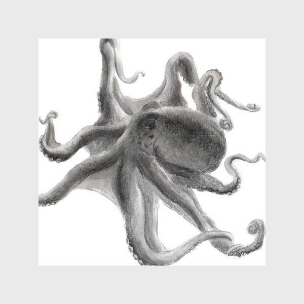 Скатерть «морской осьминог сережа»