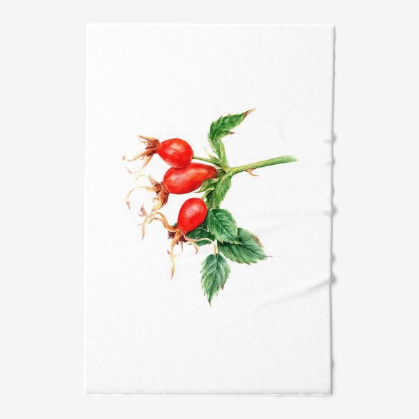 Полотенце «Ветка шиповника ботаническая иллюстрация акварель»