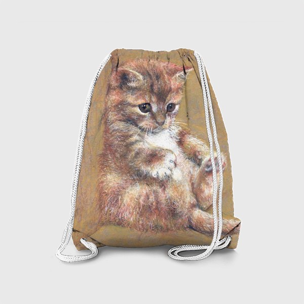 Рюкзак «Котик,котенок,кот подарок»