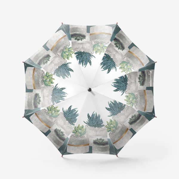 Зонт «Суккуленты. Флорариум»