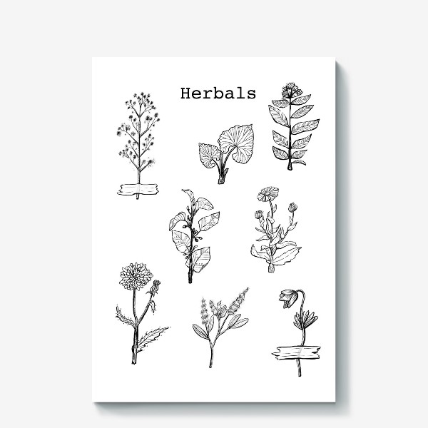 Холст «Herbals. Botanica. »