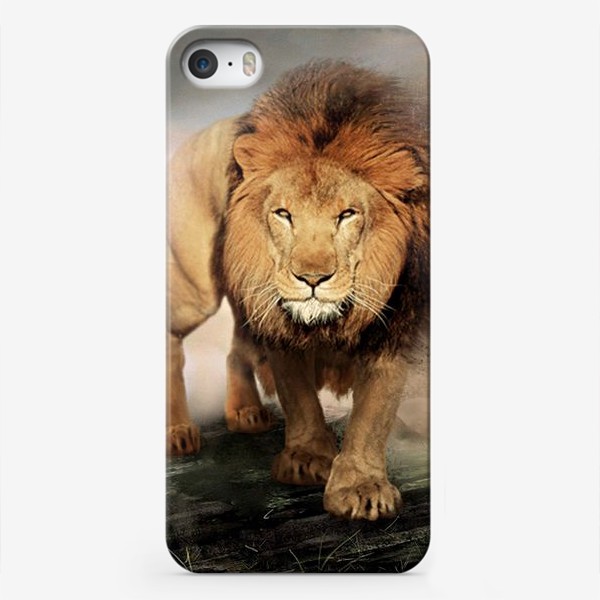 Чехол iPhone «Лев/Lion»