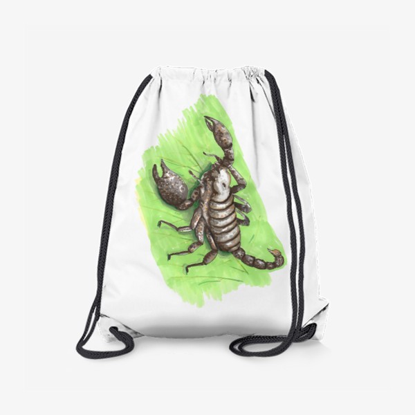 Рюкзак «Скорпион»