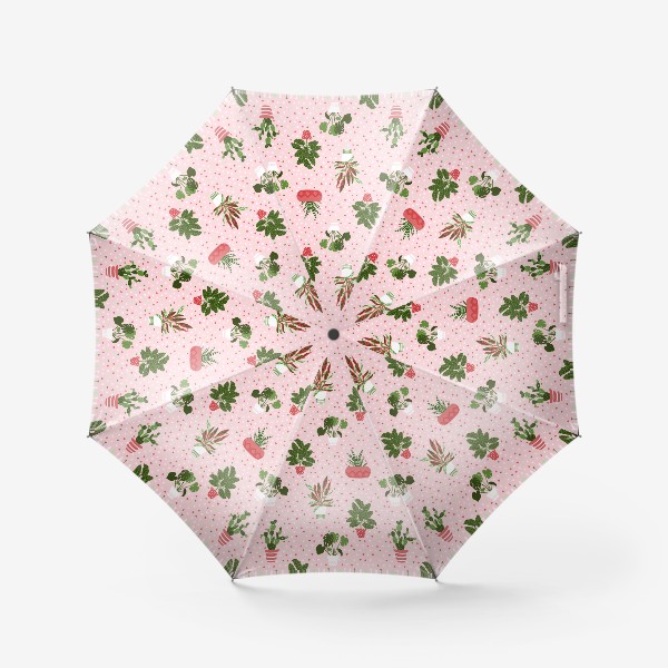 Зонт «Домашние растения в горшках»
