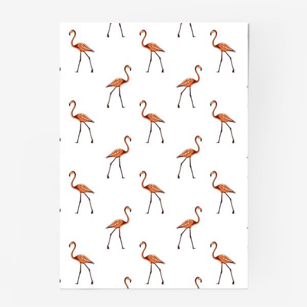 Постер «Нежный фламинго персикового цвета на белом фоне»