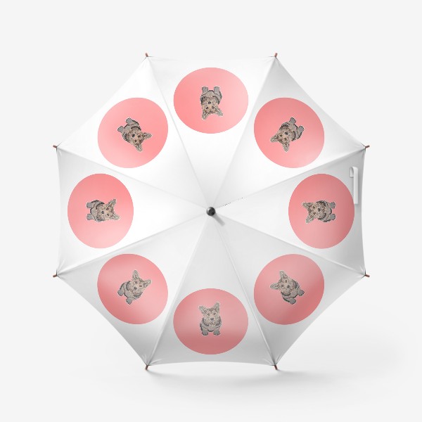 Зонт «Малыш корги в розовом круге. Милый щенок собаки»
