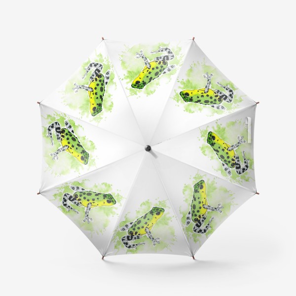 Зонт «Зеленая лягушка древолаз»