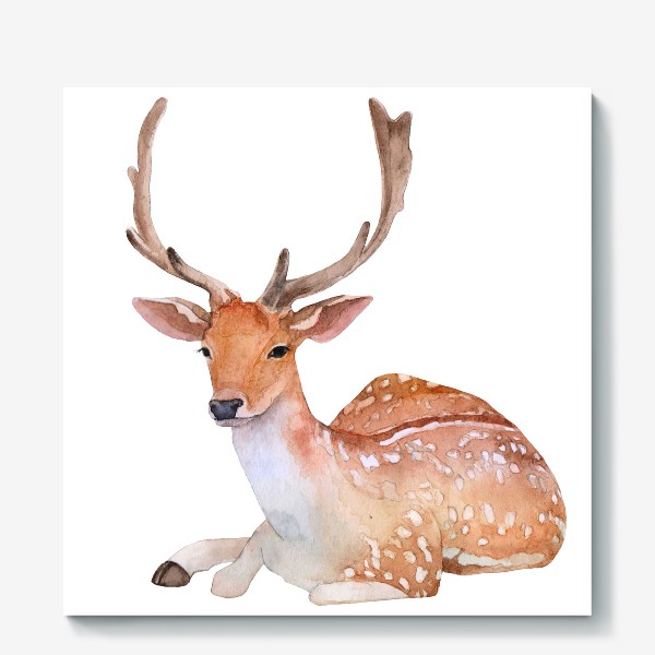 Холст «Reindeer watercolor drawing isolated on white background.»