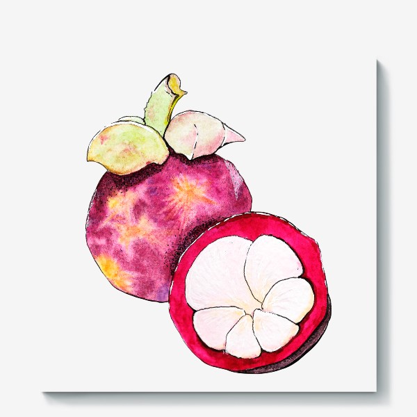 Холст «Экзотические фрукты - Мангустин»