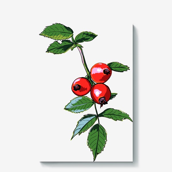 Холст «Шиповник с красными ягодами и зелеными листьями. Ботанический скетч ярких плодов на ветке»