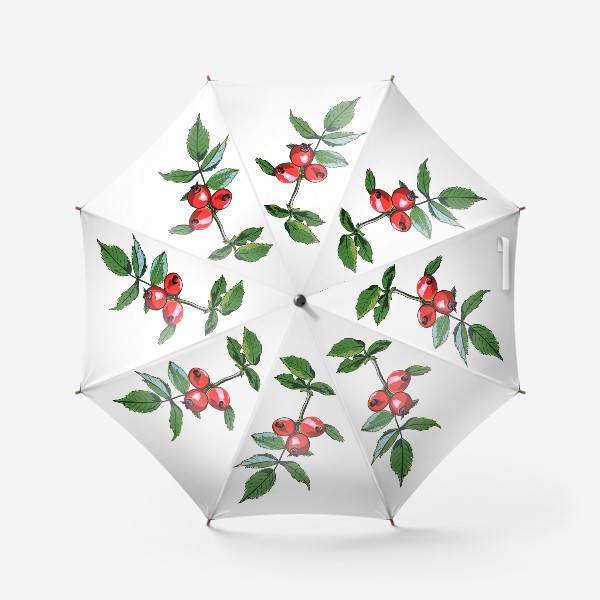 Зонт «Шиповник с красными ягодами и зелеными листьями. Ботанический скетч ярких плодов на ветке»