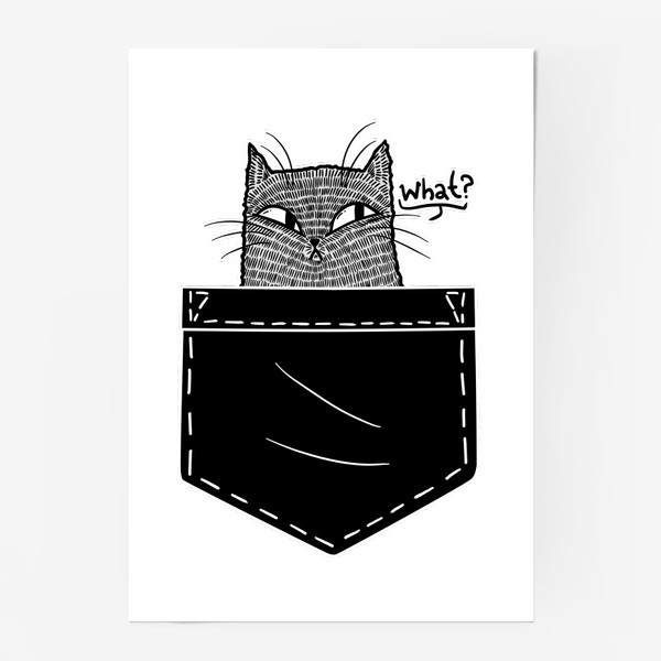 Постер «Кот в черном кармане»