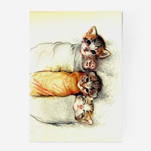 Постер «Котята,милые котики, подарок »