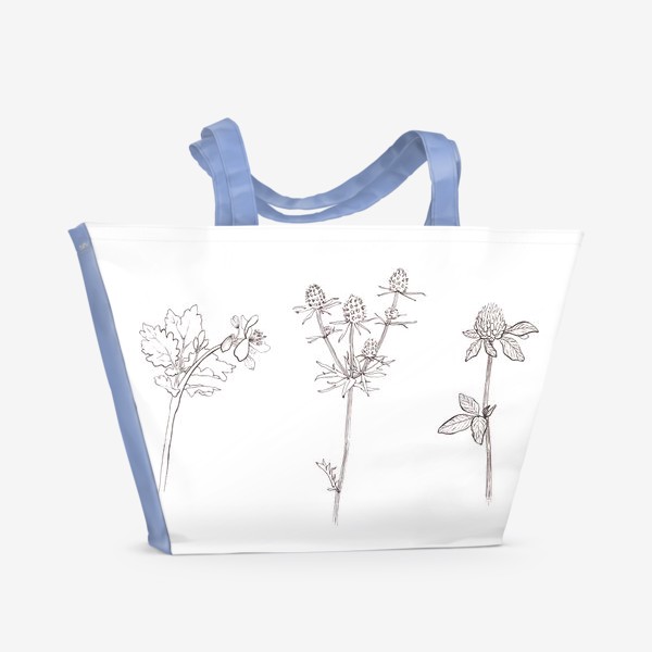Пляжная сумка «Ботаника. Графика»