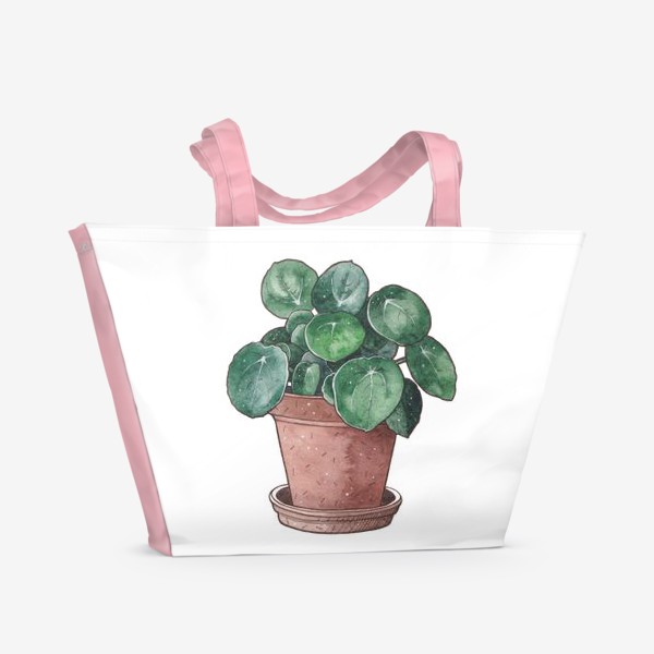 Пляжная сумка «Пилея. Комнатные растения. Ботаника»