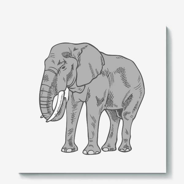 Холст «Слон серый иллюстрация »