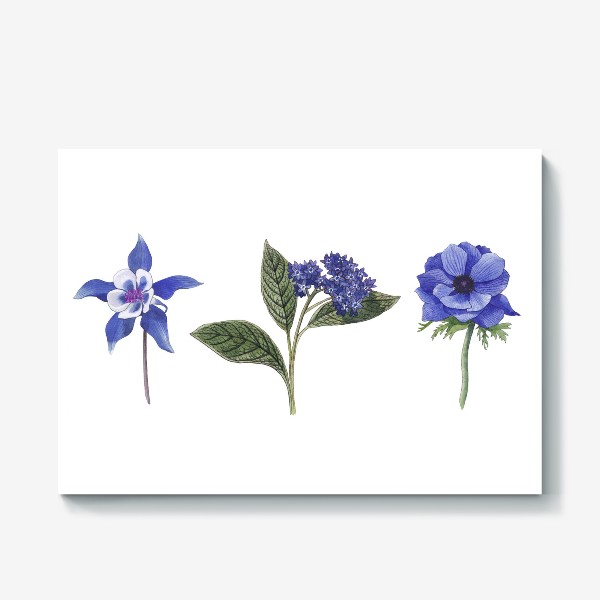 Холст «Синие цветы. Ботаника»