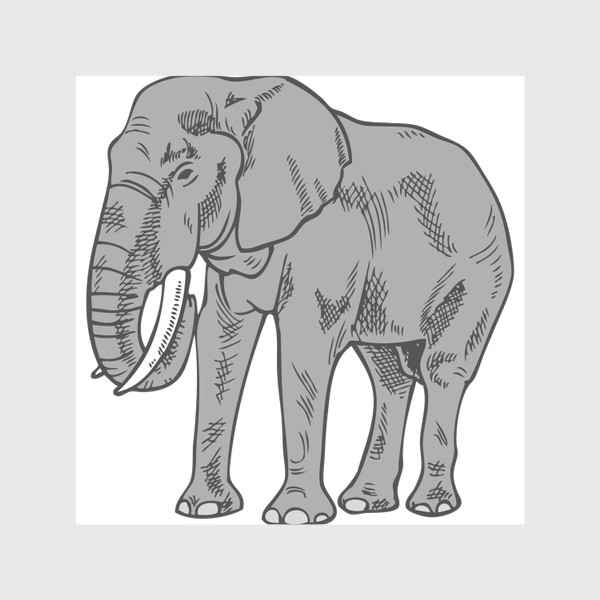 Шторы «Слон серый иллюстрация »