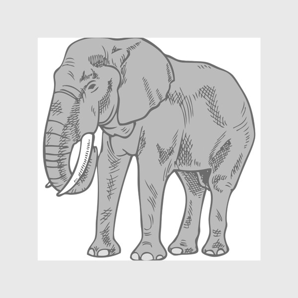 Скатерть «Слон серый иллюстрация »