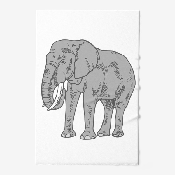 Полотенце «Слон серый иллюстрация »