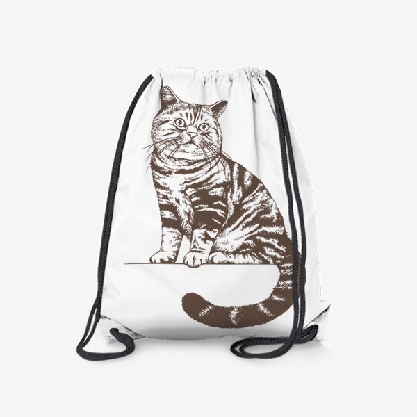 Рюкзак «Рисунок кот»