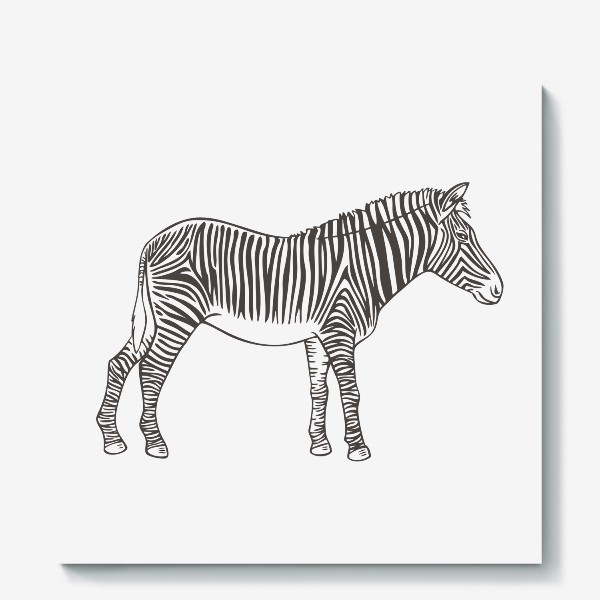 Холст «Графика зебра»