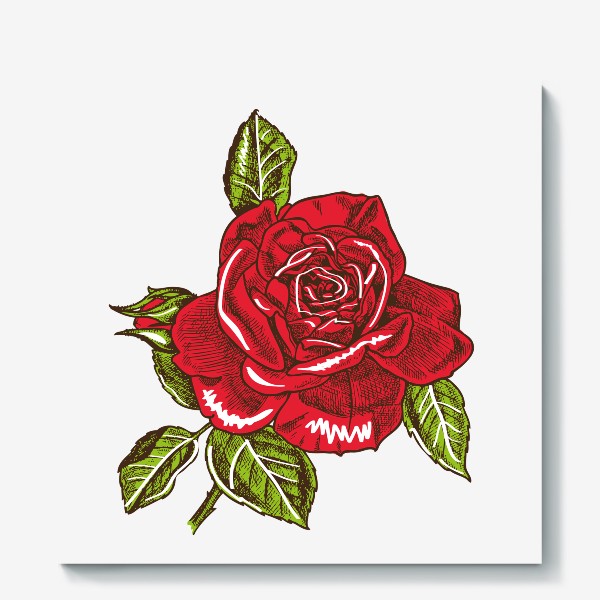 Холст «Графика красная роза»