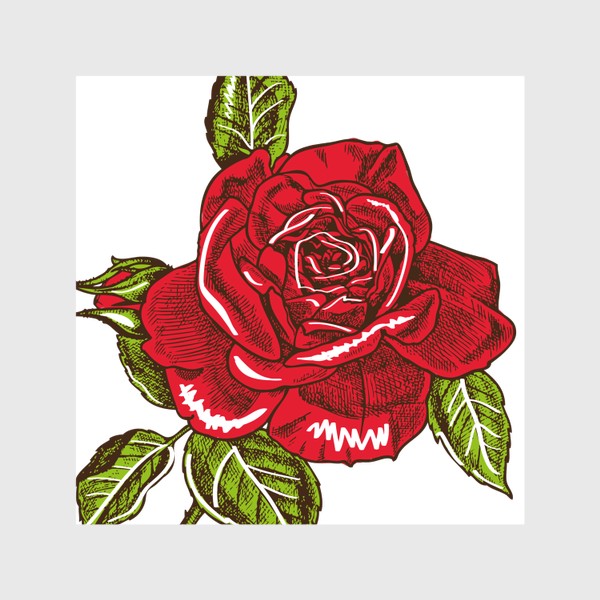 Шторы «Графика красная роза»