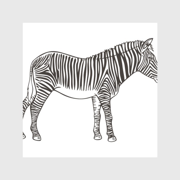 Шторы «Графика зебра»