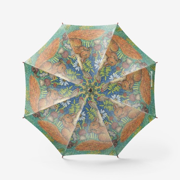 Зонт «Белка и грибы»