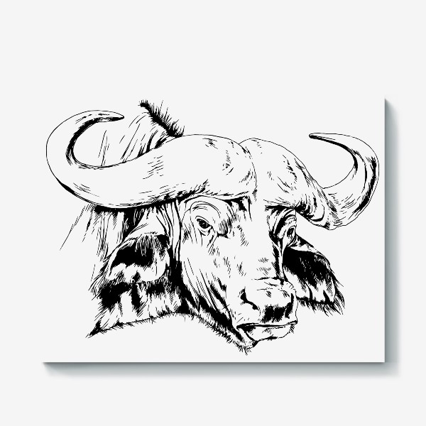 Холст «Голова буйвола, бык с рогами, нарисованный от руки»