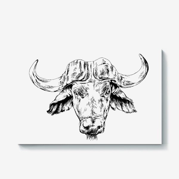 Холст «Голова быка, буйвол с большими рогами, нарисованный от руки»