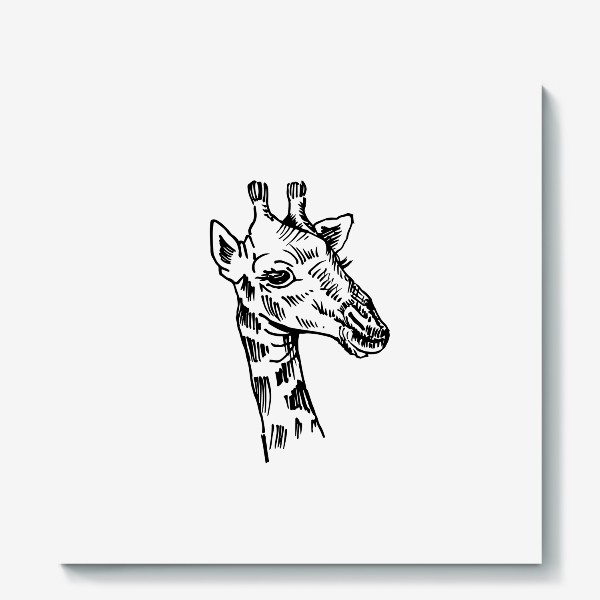 Холст «Жираф. Чёрно-белый скетч»