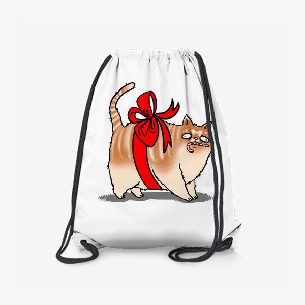 Рюкзак «Кот-подарок »