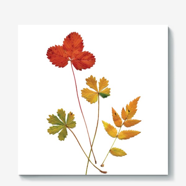 Холст &laquo;Осенние листья. Autumn leaves.&raquo;